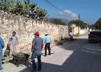 Realizan Actividades de Limpieza en Palmillas
