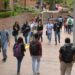 Tamaulipas prepara regreso a clases en universidades