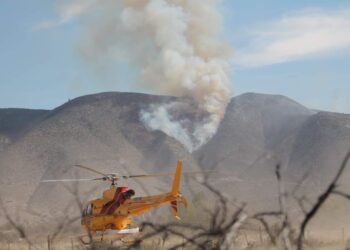 Envía Tamaulipas apoyo para combatir incendio forestal