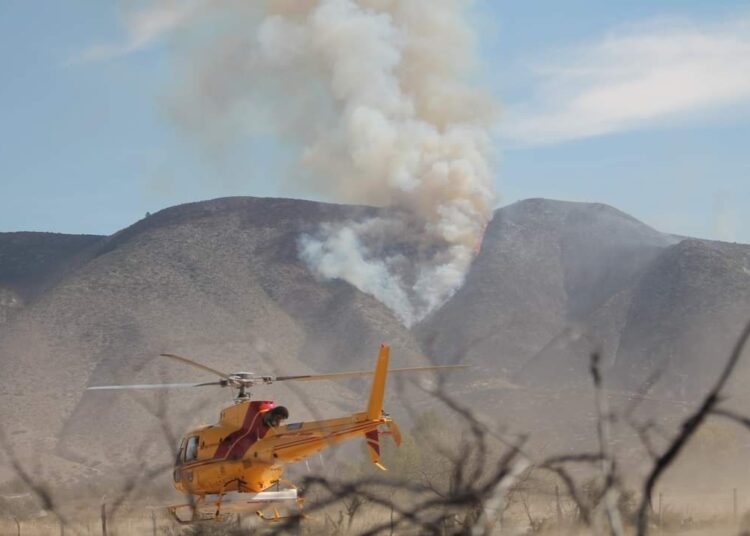 Envía Tamaulipas apoyo para combatir incendio forestal