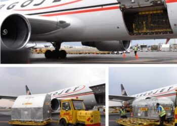 México recibió un nuevo embarque de 487 mil 500 dosis de vacunas contra covid-19