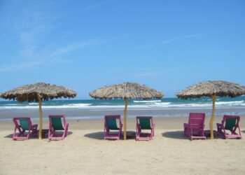 Emana gran cantidad de sargazo en playa Miramar