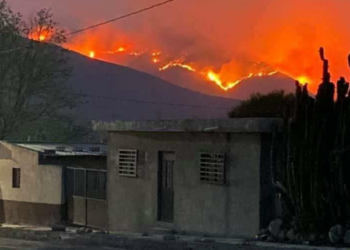 Piden ayuda Nacional por incendio forestal en Miquihuana