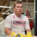 ‘Canelo’ decreta victoria contra Billy Joe Saunders