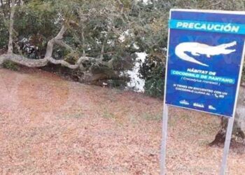 Mujer se mete a nadar a la Laguna del Carpintero y la muerde cocodrilo