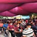 Vucunaron a mas de 500 mil jovenes de 18 a 39 años en Tamaulipas