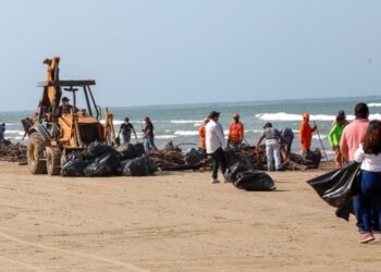 Llevan a cabo jornadas de limpieza en Playa Miramar