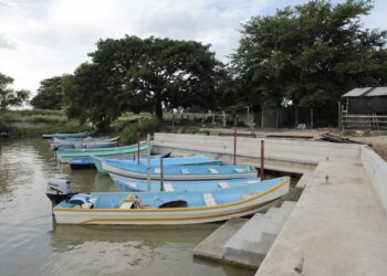 Modernizan Muelle en Canal de Navegación de Tancol
