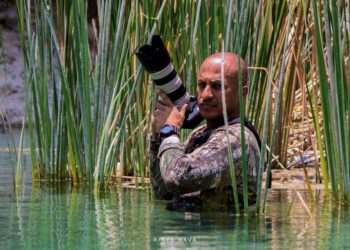 Mirador de Altas Cumbres tendrá exposición de fotografías de aves