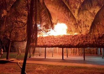 Se incendia palapa en la laguna del carpintero