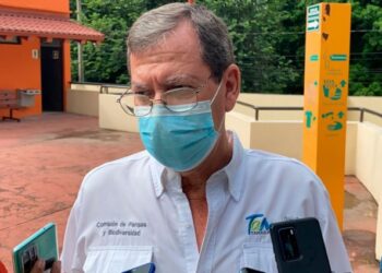 Llegan Hienas al Zoológico de Tamatan