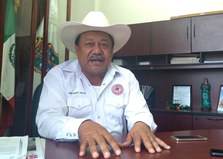 Coalición PRI – PAN debe analizarse a fondo 
