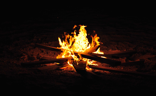 Gobierno de NL prohibirá el uso de fuego en todos los ecosistemas forestales