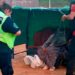 Reconoce Carmen Lilia Canturosas labor de Protección Civil y Bomberos de NLD