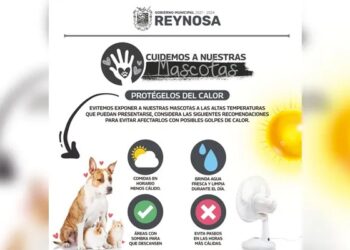 Exhorta Municipio de Reynosa a cuidar de altas temperaturas a animales de compañía