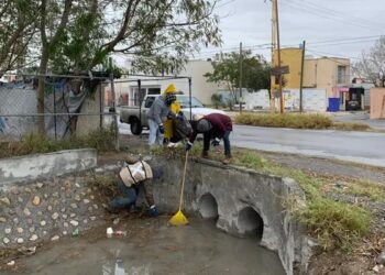 Exhorta Municipio de Reynosa a mantener calles y patios limpios
