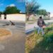 Coordinó Alcalde Carlos Peña Ortiz limpieza de plazas de Reynosa
