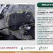 ¡Congelados!: frente frío 20 afecta a una parte de México