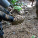 Localizan con vida a cuatro niños tras 17 días perdidos en selva colombiana