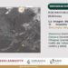 ¡Agarra el paraguas!: lluvias fuertes en varios estados del país