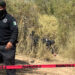 Suman 15 cadáveres hallados en fosas clandestinas en Mexicali