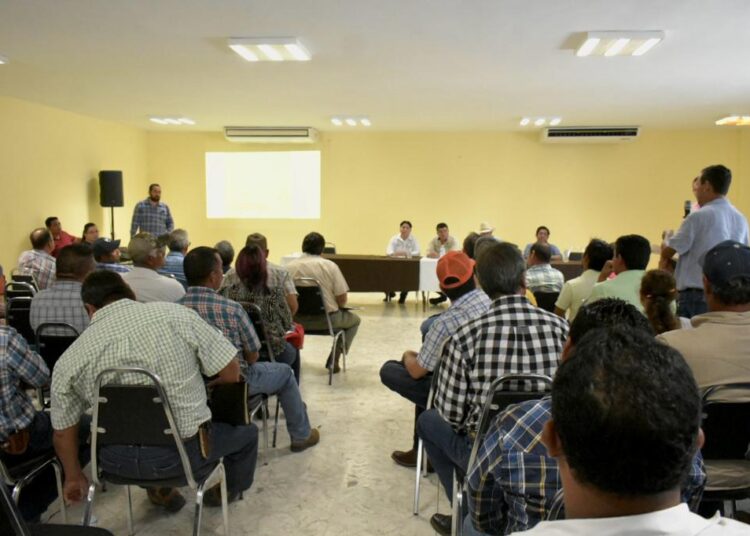 Trabajan médicos veterinarios en la recuperación del estatus sanitario