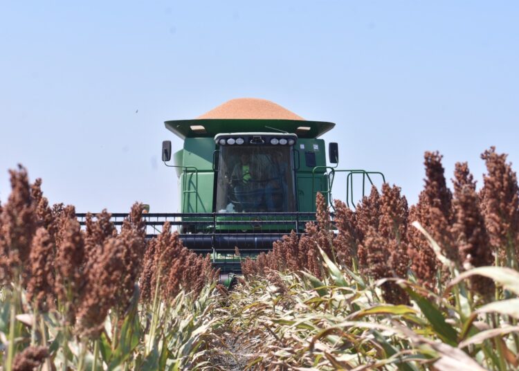 Inicia gobierno de Tamaulipas dispersión de recursos de apoyo del programa de fomento a la producción rural 2023