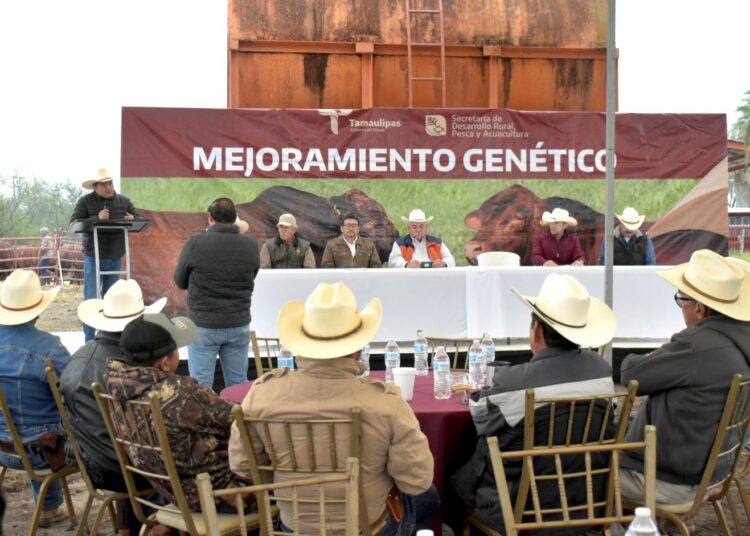 Fortalece Gobierno del Estado hatos ganaderos de los municipios de Burgos, Méndez y San Fernando