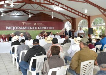 Gobierno del Estado respalda a ganaderos de Aldama con programa de Mejoramiento Genético