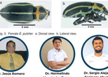 Científicos de la UAT publican avances de investigación en entomología agrícola